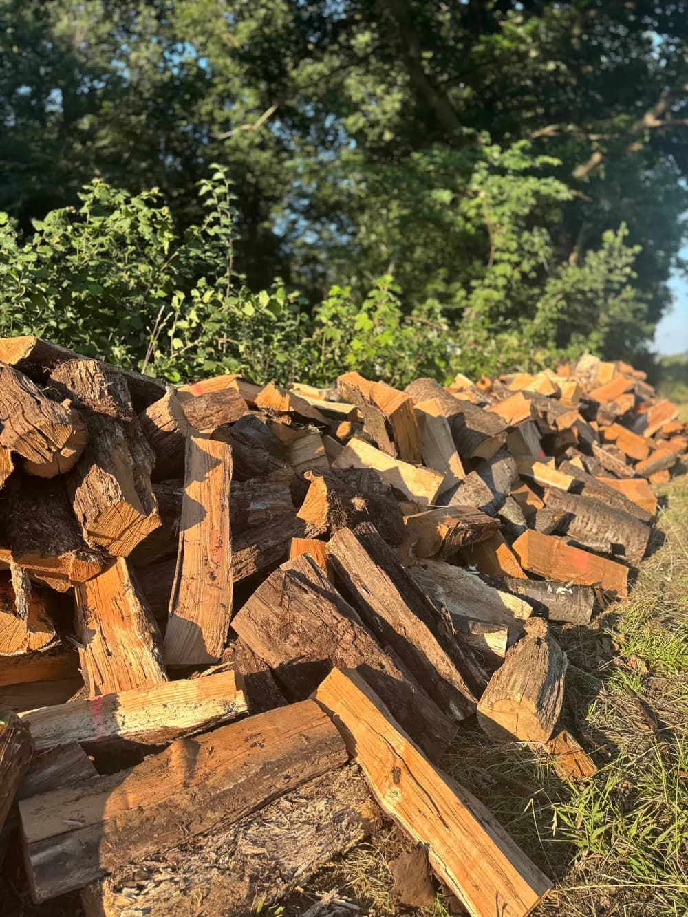 Stock de bois sec Linard